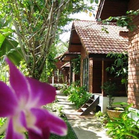 Phu Aroon Guesthouse Sukhothai Oda fotoğraf